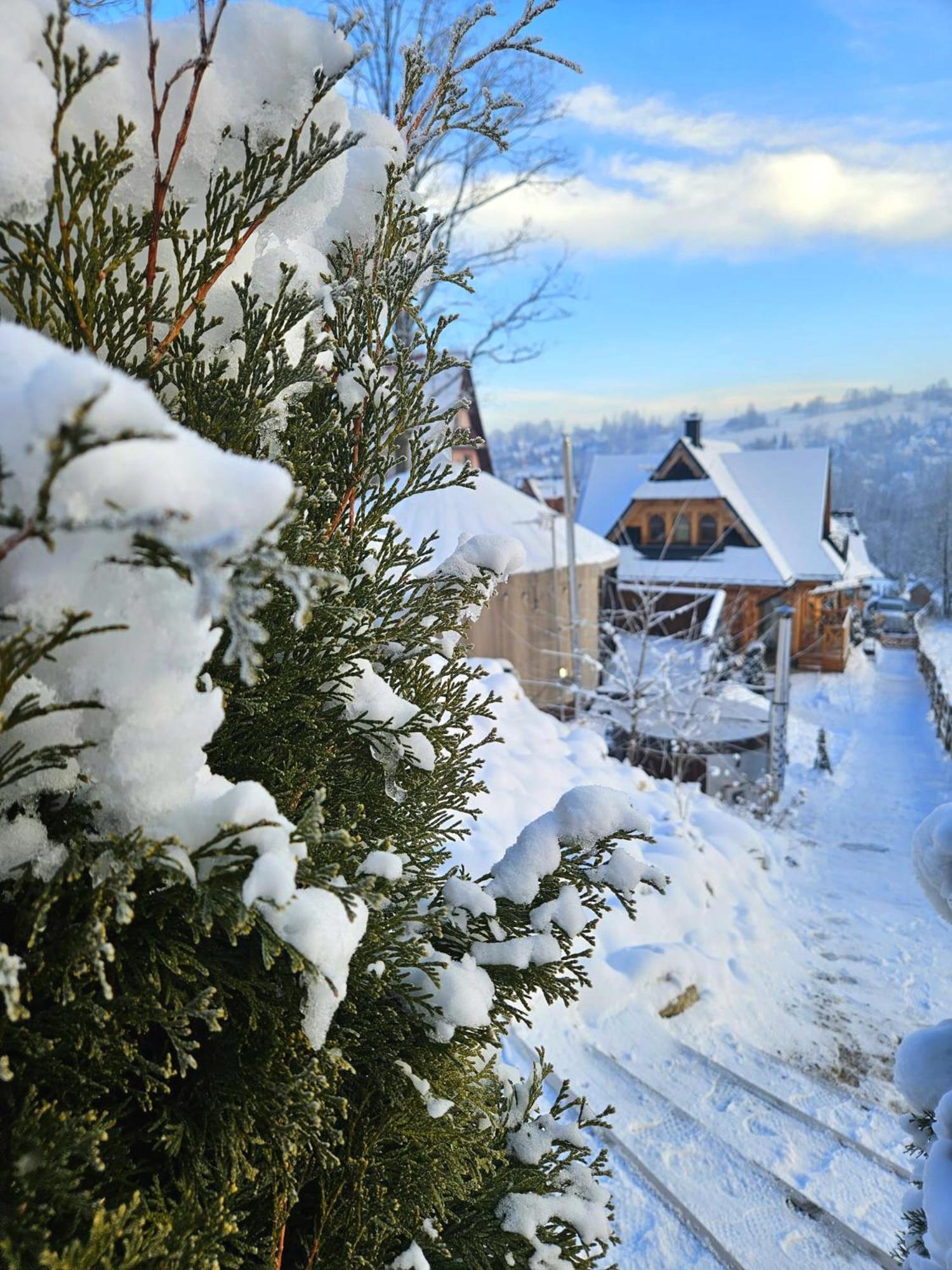 Goralska Chatka 2 Highland Cottage - Split Ac, Jacuzzi, Sauna, Private Parking, Mountains View, Garden, Закопане Экстерьер фото